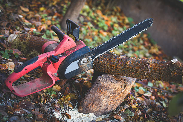 Best Tree and Shrub Care  in Greenlawn, NY